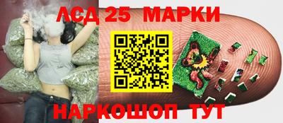 стаф Ливны