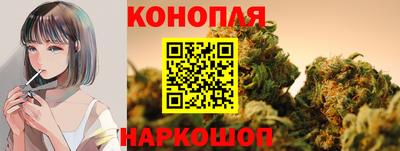 стаф Ливны
