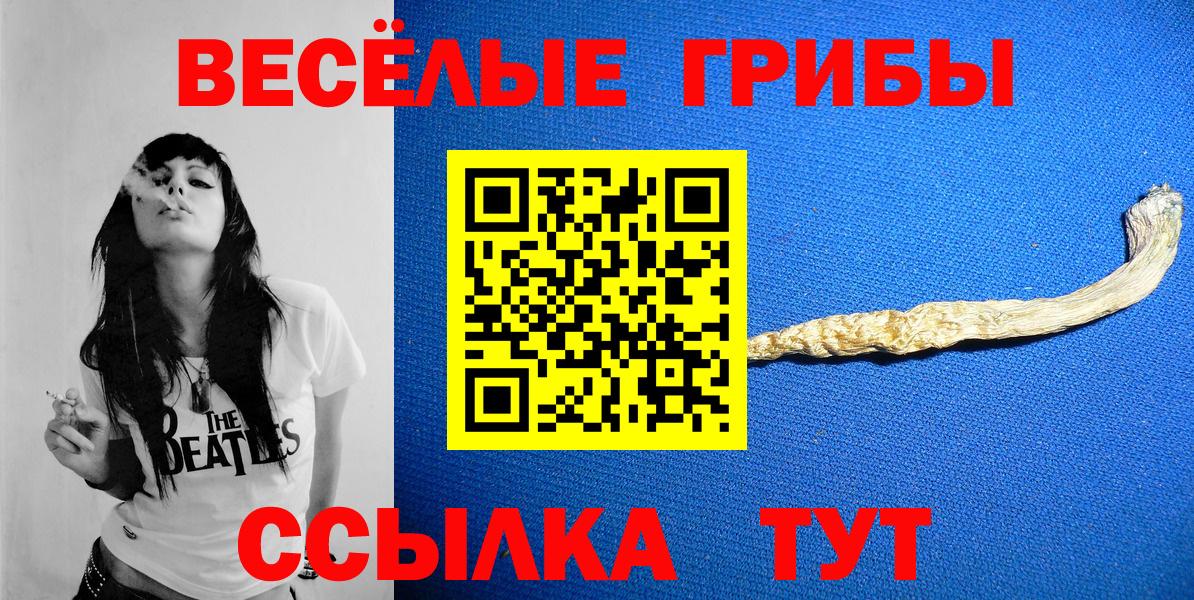 Псилоцибиновые грибы ЛСД Светлоград