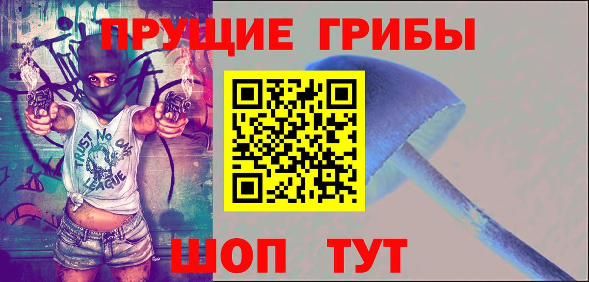Псилоцибиновые грибы GOLDEN TEACHER  Псилоцибиновые грибы ЛСД  Вход с VPN  Светлоград 